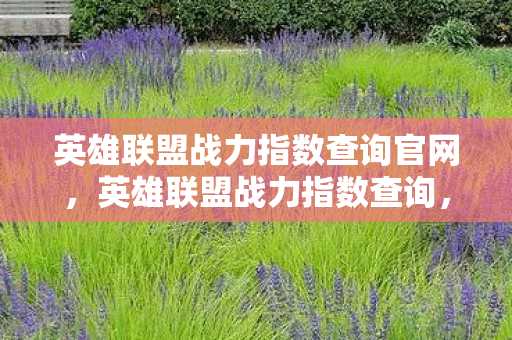 英雄联盟战力指数查询官网,英雄联盟战力指数查询,解锁你的游戏潜能 英雄联盟战力指数查询官网,英雄联盟战力指数查询,解锁你的游戏潜能