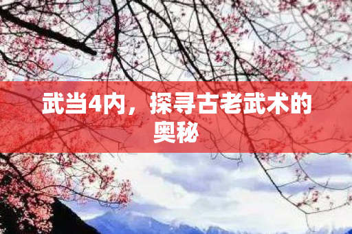 武当4内,探寻古老武术的奥秘 武当4内,探寻古老武术的奥秘