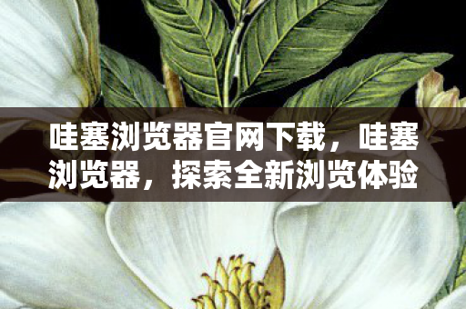 哇塞浏览器官网下载，哇塞浏览器，探索全新浏览体验