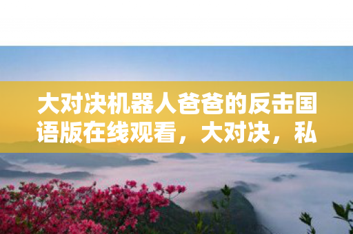大对决机器人爸爸的反击国语版在线观看，大对决，私服与官网的竞技，玩家为何选择私服？