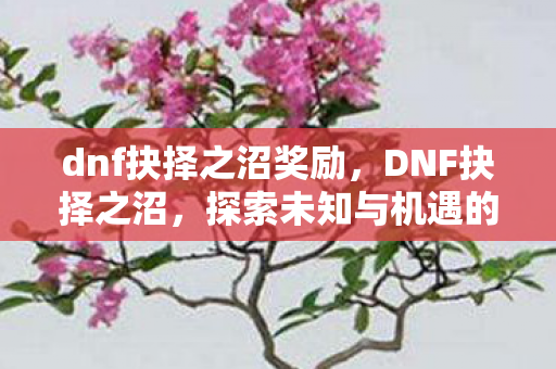 dnf抉择之沼奖励,DNF抉择之沼,探索未知与机遇的冒险之旅 dnf抉择之沼奖励,DNF抉择之沼,探索未知与机遇的冒险之旅