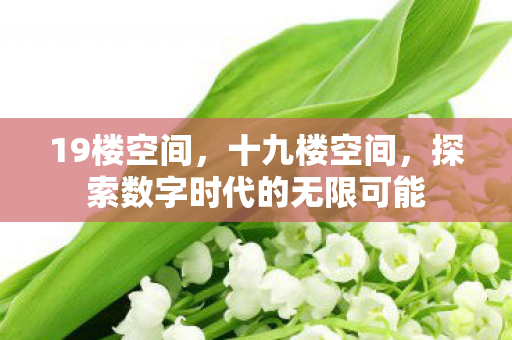 19楼空间，十九楼空间，探索数字时代的无限可能