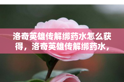 洛奇英雄传解绑药水怎么获得,洛奇英雄传解绑药水,解锁新世界的钥匙 洛奇英雄传解绑药水怎么获得,洛奇英雄传解绑药水,解锁新世界的钥匙