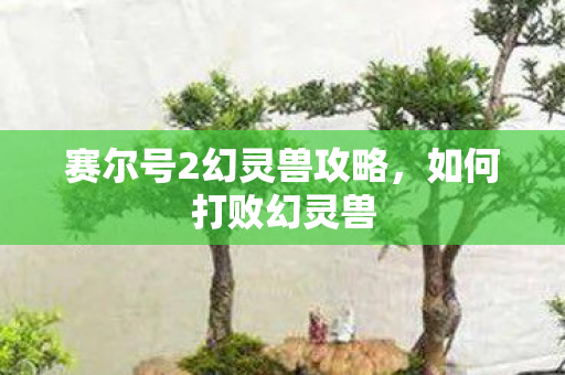 赛尔号2幻灵兽攻略,如何打败幻灵兽 赛尔号2幻灵兽攻略,如何打败幻灵兽