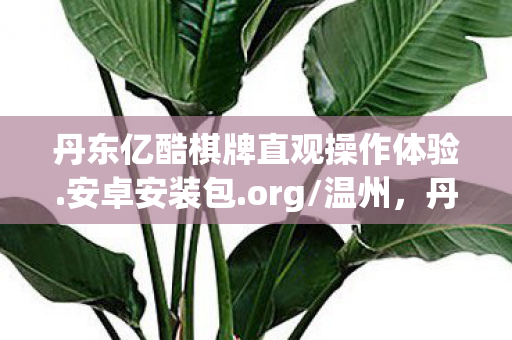 丹东亿酷棋牌直观操作体验.安卓安装包.org/温州,丹东亿酷,探索游戏世界的无限可能 丹东亿酷棋牌直观操作体验.安卓安装包.org/温州,丹东亿酷,探索游戏世界的无限可能