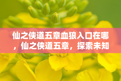 仙之侠道五章血狼入口在哪,仙之侠道五章,探索未知,追寻真我 仙之侠道五章血狼入口在哪,仙之侠道五章,探索未知,追寻真我