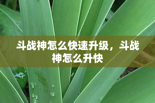 斗战神怎么快速升级,斗战神怎么升快 斗战神怎么快速升级,斗战神怎么升快