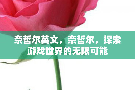 奈哲尔英文,奈哲尔,探索游戏世界的无限可能 奈哲尔英文,奈哲尔,探索游戏世界的无限可能