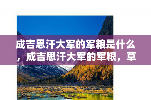 成吉思汗大军的军粮是什么,成吉思汗大军的军粮,草原上的智慧与坚韧 成吉思汗大军的军粮是什么,成吉思汗大军的军粮,草原上的智慧与坚韧