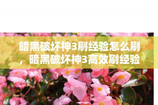 暗黑破坏神3刷经验怎么刷,暗黑破坏神3高效刷经验策略,解锁快速升级之路 暗黑破坏神3刷经验怎么刷,暗黑破坏神3高效刷经验策略,解锁快速升级之路