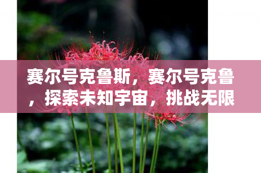赛尔号克鲁斯,赛尔号克鲁,探索未知宇宙,挑战无限可能 赛尔号克鲁斯,赛尔号克鲁,探索未知宇宙,挑战无限可能