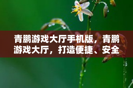 青鹏游戏大厅手机版,青鹏游戏大厅,打造便捷、安全的游戏体验 青鹏游戏大厅手机版,青鹏游戏大厅,打造便捷、安全的游戏体验