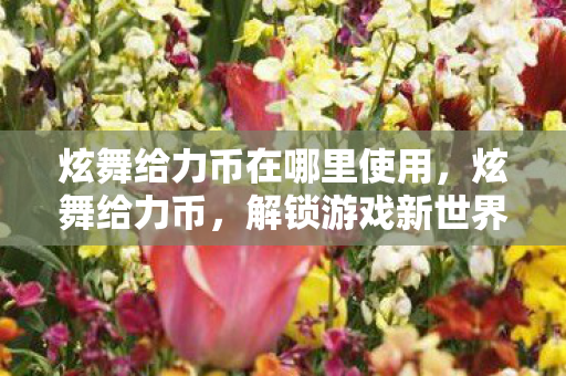 炫舞给力币在哪里使用,炫舞给力币,解锁游戏新世界的钥匙 炫舞给力币在哪里使用,炫舞给力币,解锁游戏新世界的钥匙