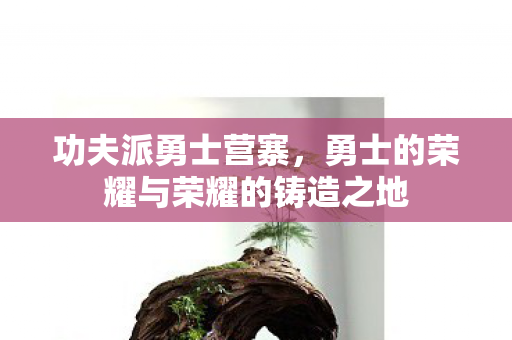 功夫派勇士营寨,勇士的荣耀与荣耀的铸造之地 功夫派勇士营寨,勇士的荣耀与荣耀的铸造之地