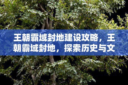 王朝霸域封地建设攻略,王朝霸域封地,探索历史与文化的深度交汇 王朝霸域封地建设攻略,王朝霸域封地,探索历史与文化的深度交汇