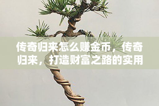 传奇归来怎么赚金币,传奇归来,打造财富之路的实用攻略 传奇归来怎么赚金币,传奇归来,打造财富之路的实用攻略