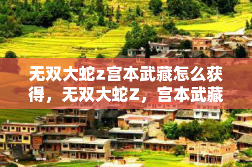 无双大蛇z宫本武藏怎么获得，无双大蛇Z，宫本武藏的传奇之路