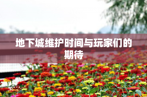 地下城维护时间与玩家们的期待 地下城维护时间与玩家们的期待