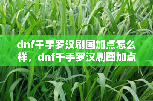 dnf千手罗汉刷图加点怎么样，dnf千手罗汉刷图加点策略