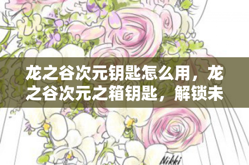 龙之谷次元钥匙怎么用,龙之谷次元之箱钥匙,解锁未知世界的神秘钥匙 龙之谷次元钥匙怎么用,龙之谷次元之箱钥匙,解锁未知世界的神秘钥匙