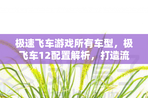 极速飞车游戏所有车型，极飞车12配置解析，打造流畅游戏体验的硬件需求