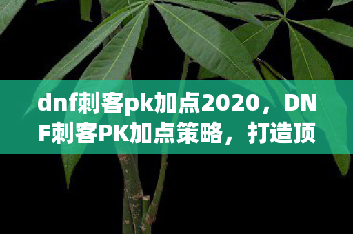 dnf刺客pk加点2020,DNF刺客PK加点策略,打造顶尖PK角色的关键 dnf刺客pk加点2020,DNF刺客PK加点策略,打造顶尖PK角色的关键