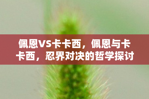 佩恩VS卡卡西,佩恩与卡卡西,忍界对决的哲学探讨 佩恩VS卡卡西,佩恩与卡卡西,忍界对决的哲学探讨