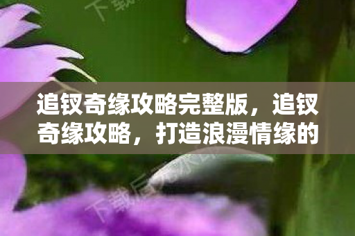 追钗奇缘攻略完整版,追钗奇缘攻略,打造浪漫情缘的秘籍 追钗奇缘攻略完整版,追钗奇缘攻略,打造浪漫情缘的秘籍
