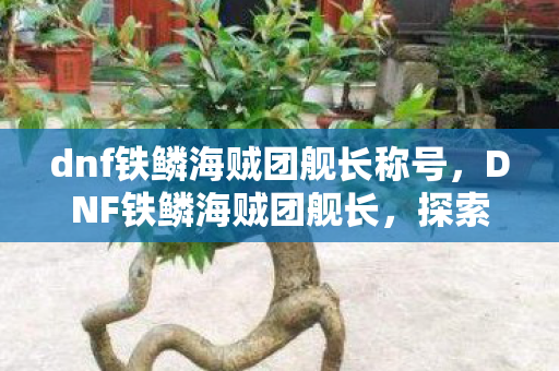 dnf铁鳞海贼团舰长称号,DNF铁鳞海贼团舰长,探索未知海域的领航者 dnf铁鳞海贼团舰长称号,DNF铁鳞海贼团舰长,探索未知海域的领航者