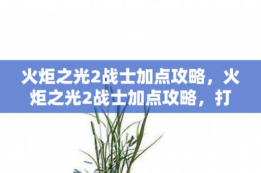 火炬之光2战士加点攻略,火炬之光2战士加点攻略,打造最强战士 火炬之光2战士加点攻略,火炬之光2战士加点攻略,打造最强战士