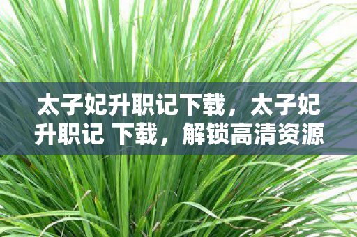 太子妃升职记下载,太子妃升职记 下载,解锁高清资源的便捷途径 太子妃升职记下载,太子妃升职记 下载,解锁高清资源的便捷途径