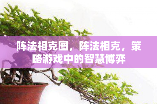 阵法相克图，阵法相克，策略游戏中的智慧博弈
