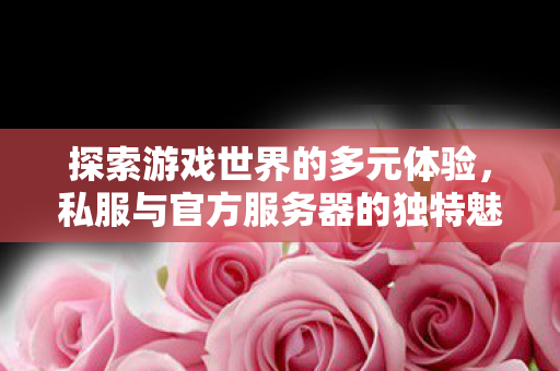 探索游戏世界的多元体验,私服与官方服务器的独特魅力 探索游戏世界的多元体验,私服与官方服务器的独特魅力