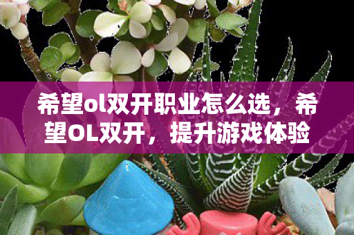希望ol双开职业怎么选,希望OL双开,提升游戏体验的实用技巧与注意事项 希望ol双开职业怎么选,希望OL双开,提升游戏体验的实用技巧与注意事项