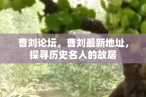 曹刘论坛,曹刘最新地址,探寻历史名人的故居 曹刘论坛,曹刘最新地址,探寻历史名人的故居
