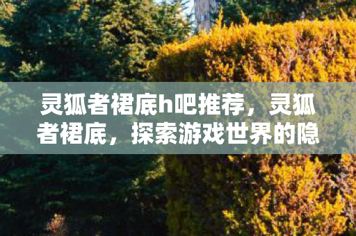 灵狐者裙底h吧推荐，灵狐者裙底，探索游戏世界的隐秘角落