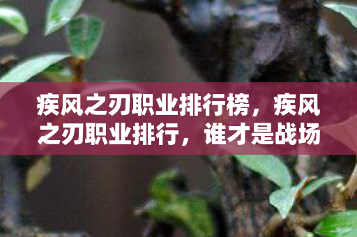 疾风之刃职业排行榜,疾风之刃职业排行,谁才是战场上的霸主? 疾风之刃职业排行榜,疾风之刃职业排行,谁才是战场上的霸主?