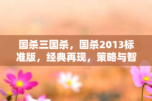 国杀三国杀,国杀2013标准版,经典再现,策略与智慧的碰撞 国杀三国杀,国杀2013标准版,经典再现,策略与智慧的碰撞
