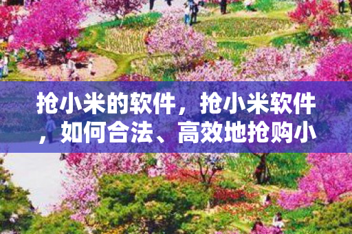 抢小米的软件,抢小米软件,如何合法、高效地抢购小米产品 抢小米的软件,抢小米软件,如何合法、高效地抢购小米产品