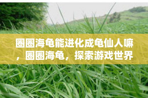 圈圈海龟能进化成龟仙人嘛,圈圈海龟,探索游戏世界的奇妙之旅 圈圈海龟能进化成龟仙人嘛,圈圈海龟,探索游戏世界的奇妙之旅