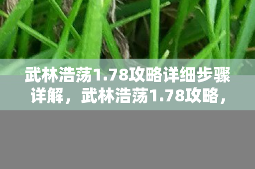 武林浩荡1.78攻略详细步骤详解,武林浩荡1.78攻略,打造绝世高手的秘籍 武林浩荡1.78攻略详细步骤详解,武林浩荡1.78攻略,打造绝世高手的秘籍