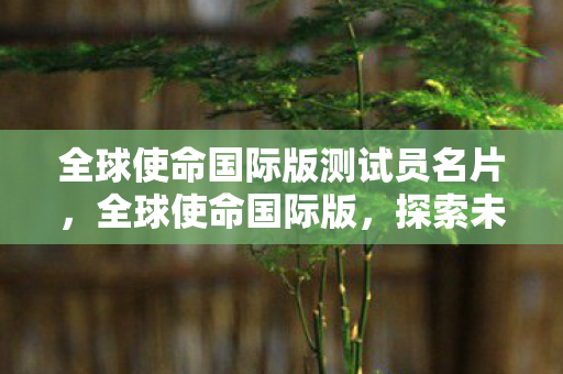 全球使命国际版测试员名片，全球使命国际版，探索未知世界的奇妙之旅