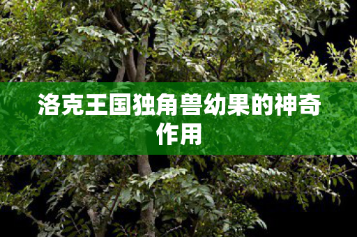 洛克王国独角兽幼果的神奇作用 洛克王国独角兽幼果的神奇作用