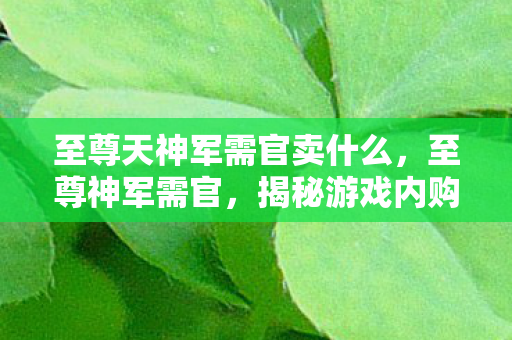 至尊天神军需官卖什么,至尊神军需官,揭秘游戏内购的幕后英雄 至尊天神军需官卖什么,至尊神军需官,揭秘游戏内购的幕后英雄