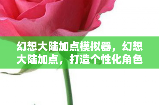 幻想大陆加点模拟器,幻想大陆加点,打造个性化角色,探索无限可能 幻想大陆加点模拟器,幻想大陆加点,打造个性化角色,探索无限可能