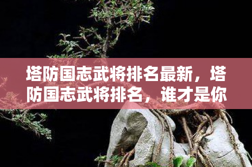 塔防国志武将排名最新,塔防国志武将排名,谁才是你的最强守护者? 塔防国志武将排名最新,塔防国志武将排名,谁才是你的最强守护者?