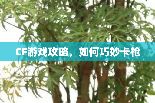CF游戏攻略,如何巧妙卡枪 CF游戏攻略,如何巧妙卡枪