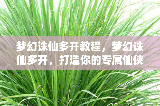 梦幻诛仙多开教程,梦幻诛仙多开,打造你的专属仙侠世界 梦幻诛仙多开教程,梦幻诛仙多开,打造你的专属仙侠世界
