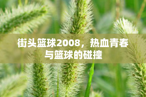 街头篮球2008,热血青春与篮球的碰撞 街头篮球2008,热血青春与篮球的碰撞