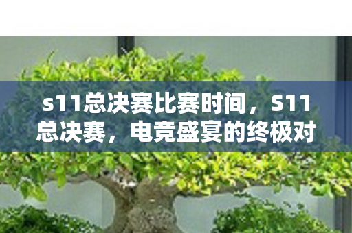 s11总决赛比赛时间,S11总决赛,电竞盛宴的终极对决 s11总决赛比赛时间,S11总决赛,电竞盛宴的终极对决